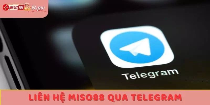 Liên hệ Miso88 qua Telegram