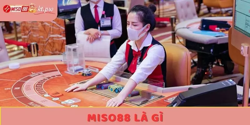 miso88