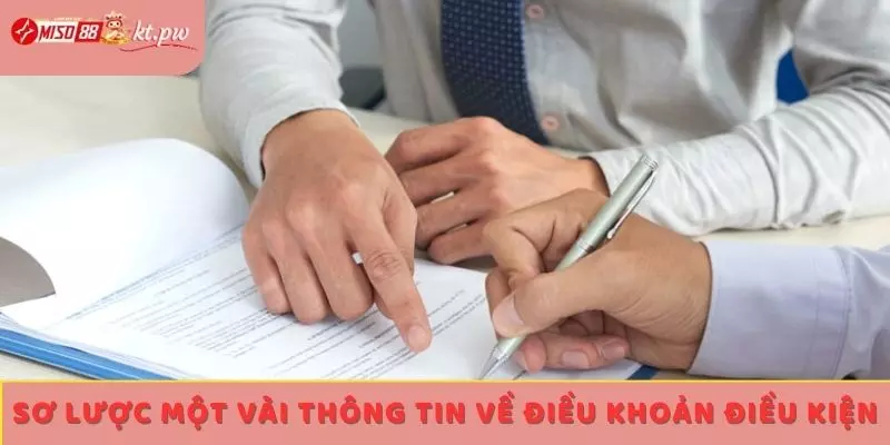 Sơ lược một vài thông tin về điều khoản điều kiện