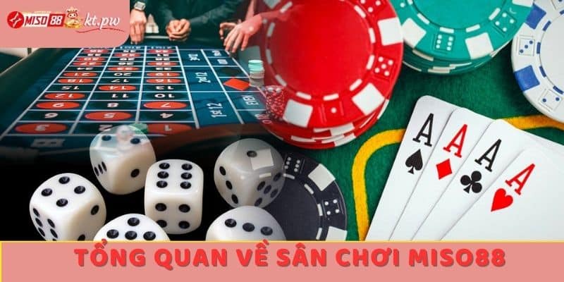 Tổng quan về Miso88 - Sân chơi giải trí cá cược hàng đầu