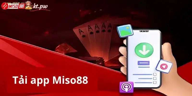 miso88