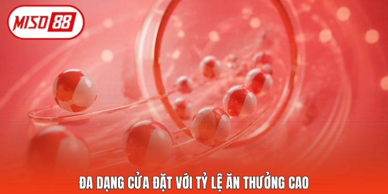 Đa dạng cửa đặt với tỷ lệ ăn thưởng cao