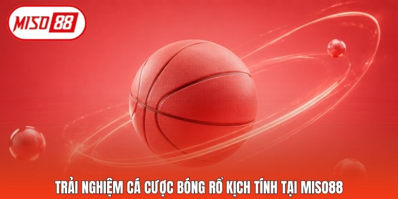 Trải nghiệm cá cược bóng rổ kịch tính tại Miso88