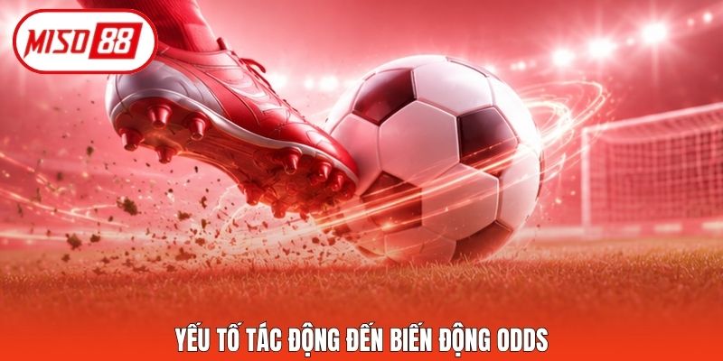 Yếu tố tác động đến biến động odds